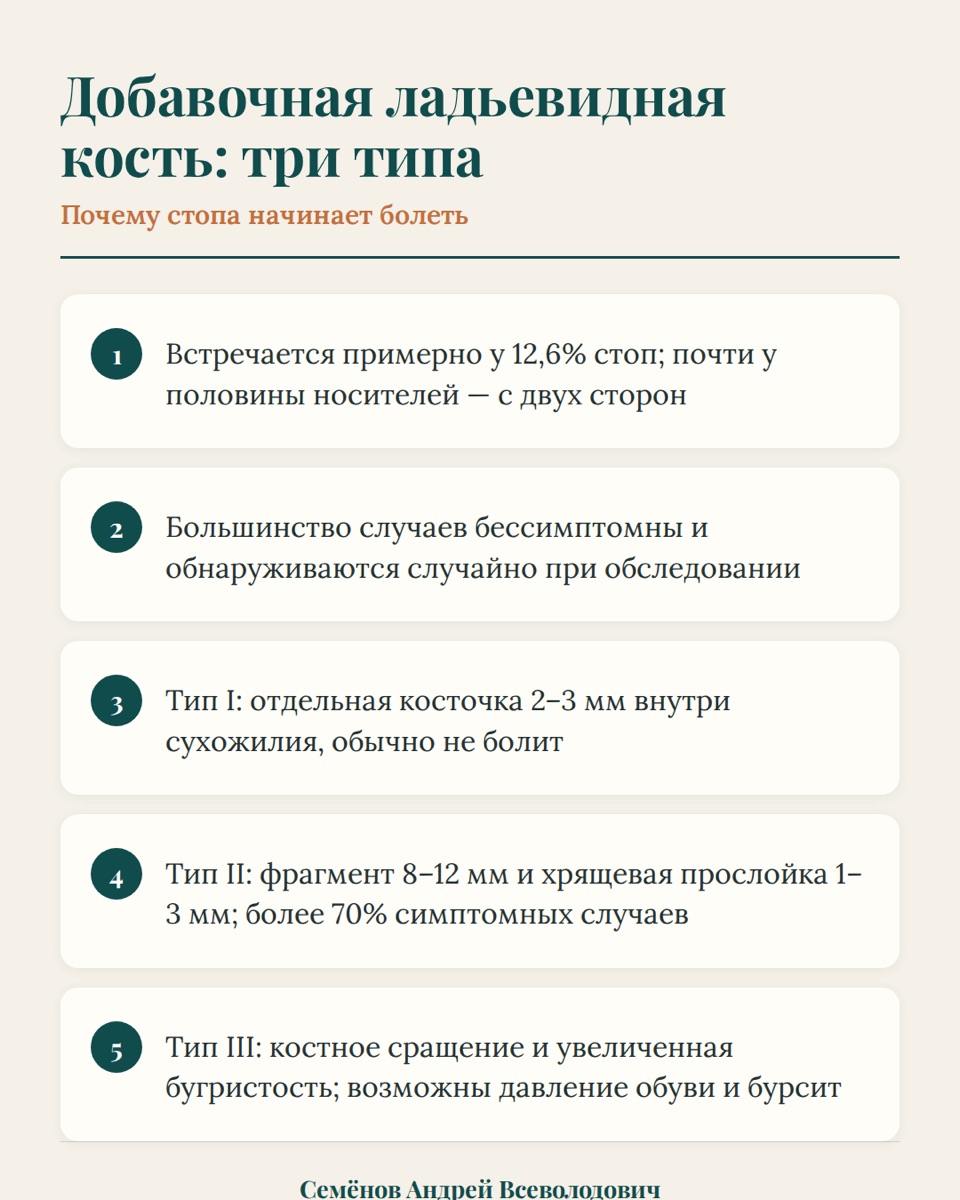 Добавочная ладьевидная кость: когда анатомический вариант мешает спорту — иллюстрация к материалу